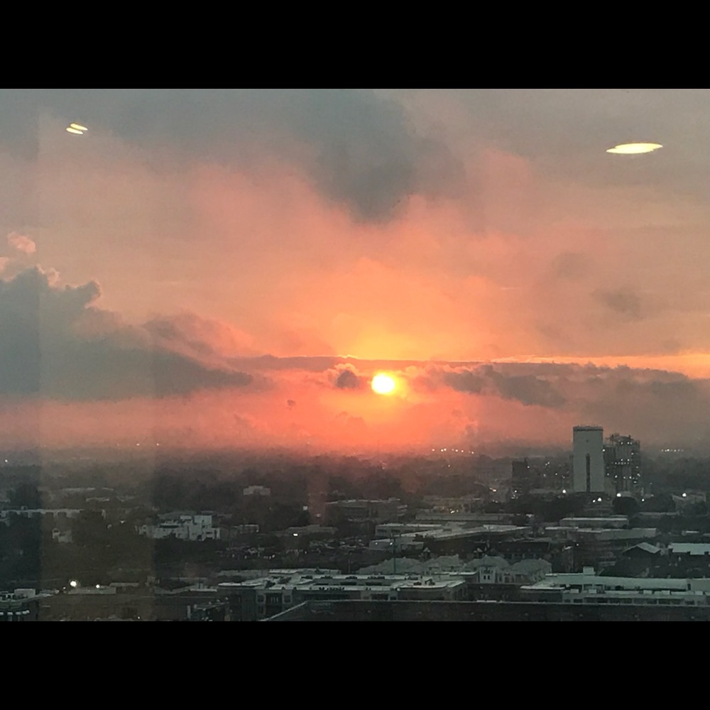 Meet your Posher, Jane